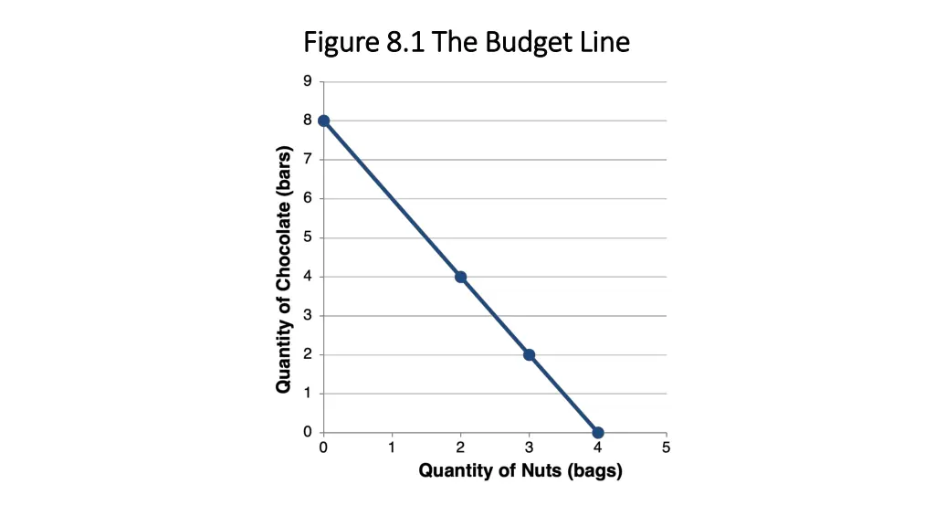 figure 8 1 the budget line figure 8 1 the budget