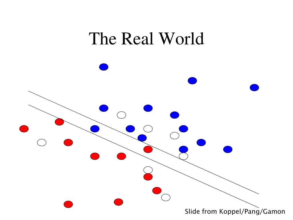 the real world