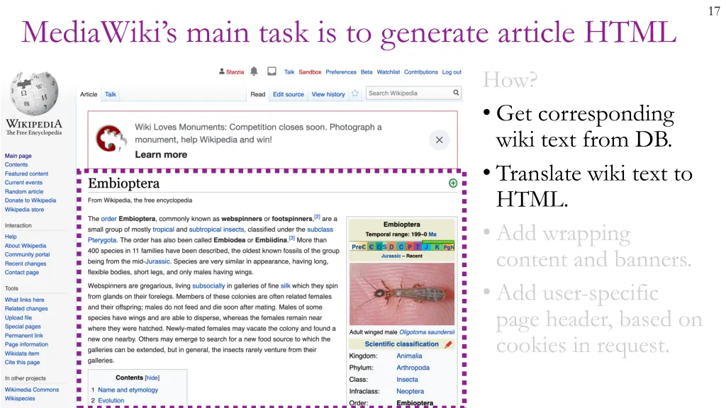 slide17