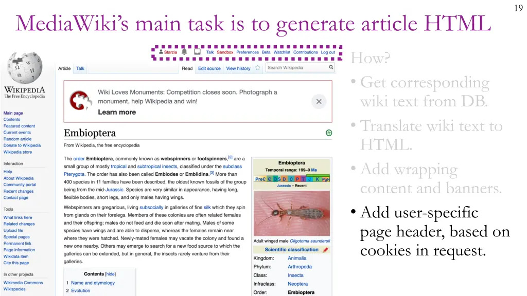 slide19
