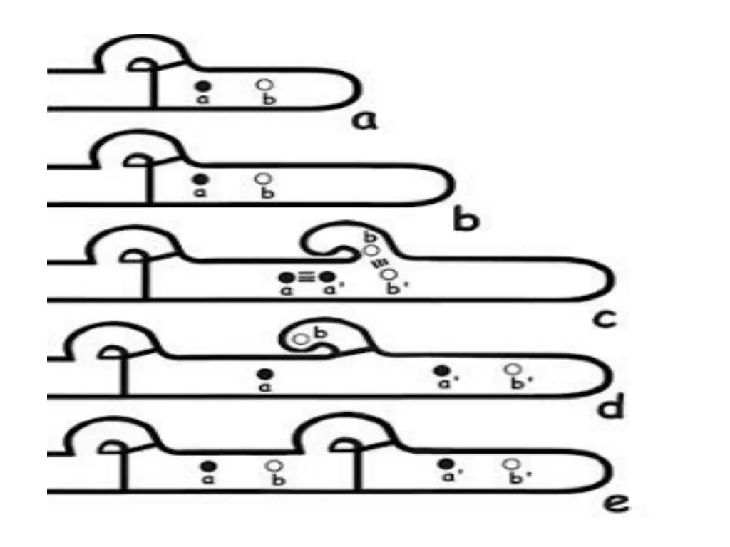 slide5