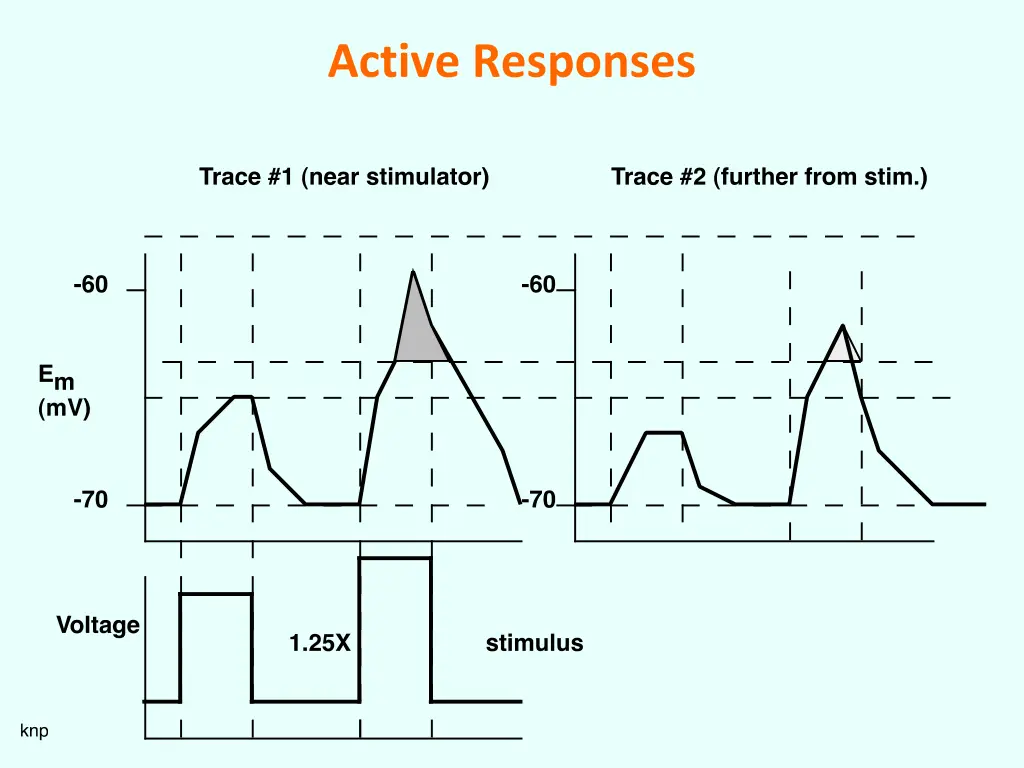 active responses