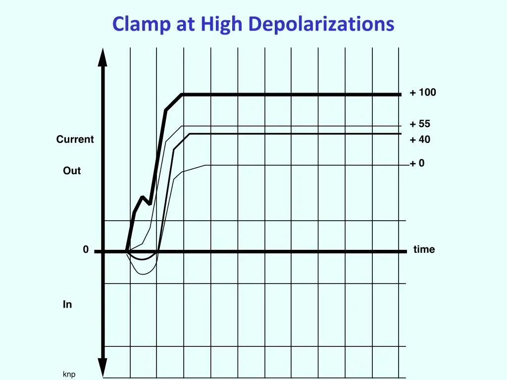 clamp at high depolarizations