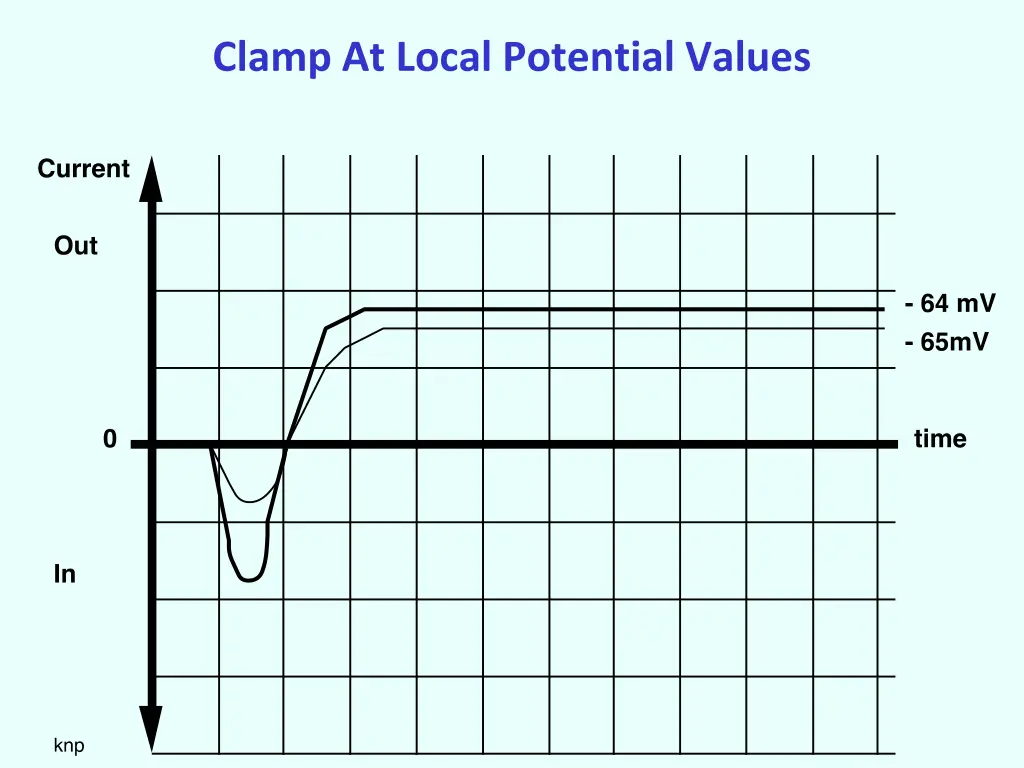clamp at local potential values