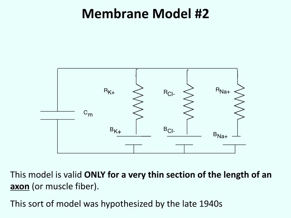 membrane model 2