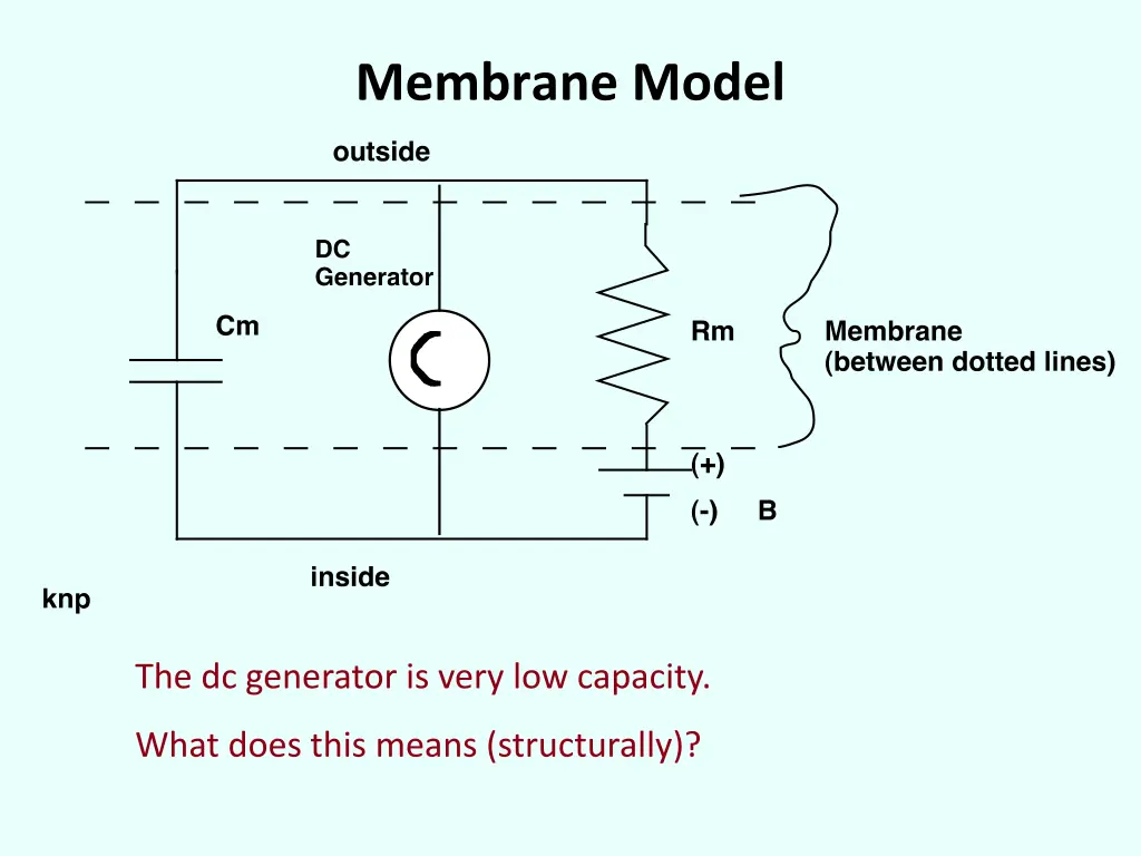 membrane model