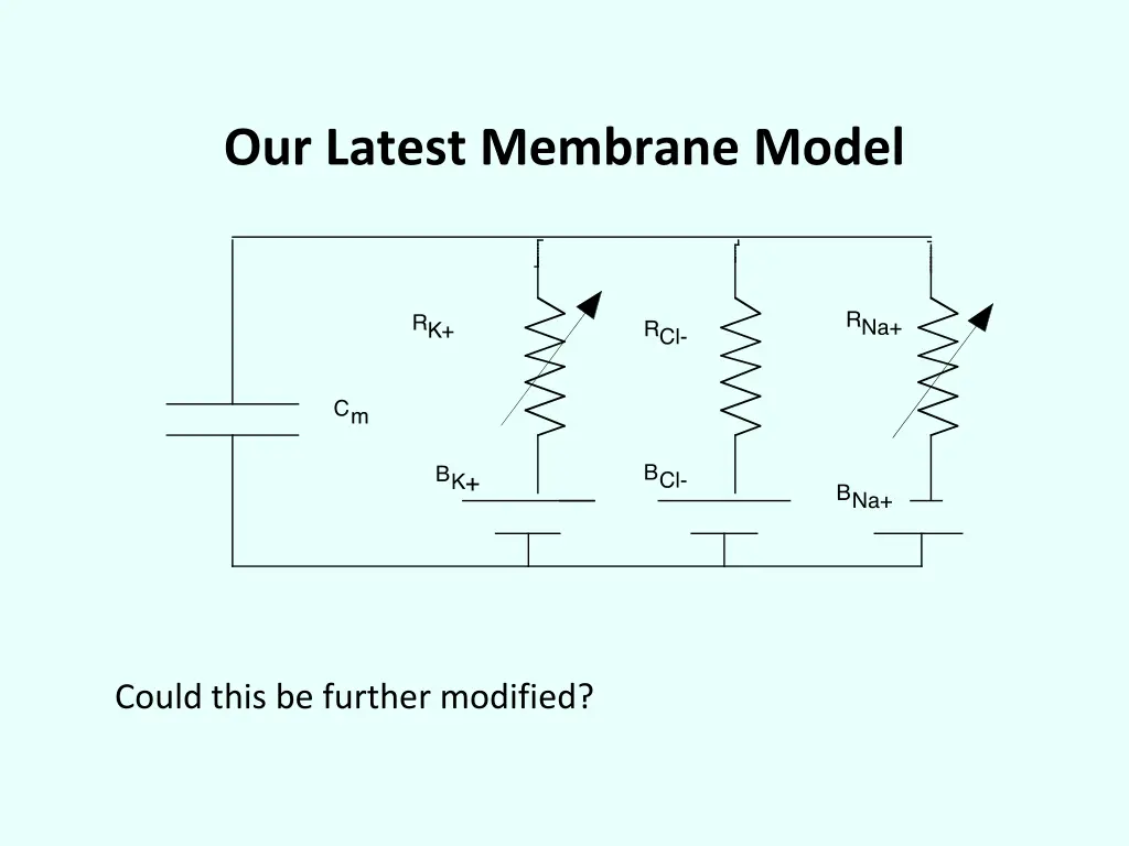 our latest membrane model