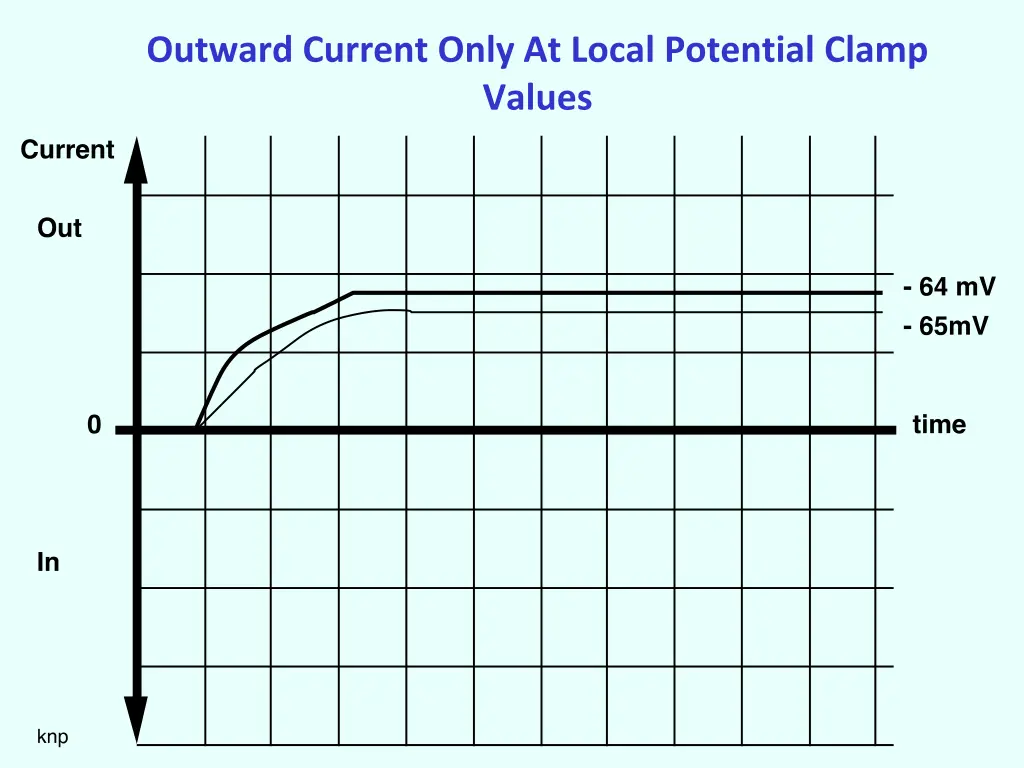 outward current only at local potential clamp