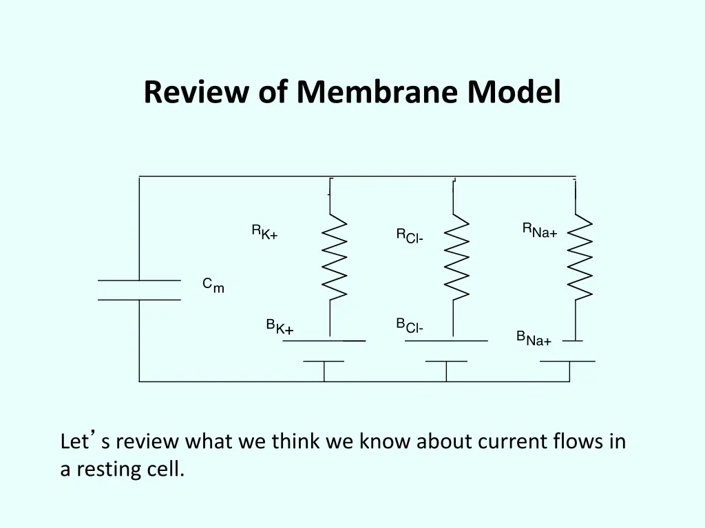 review of membrane model