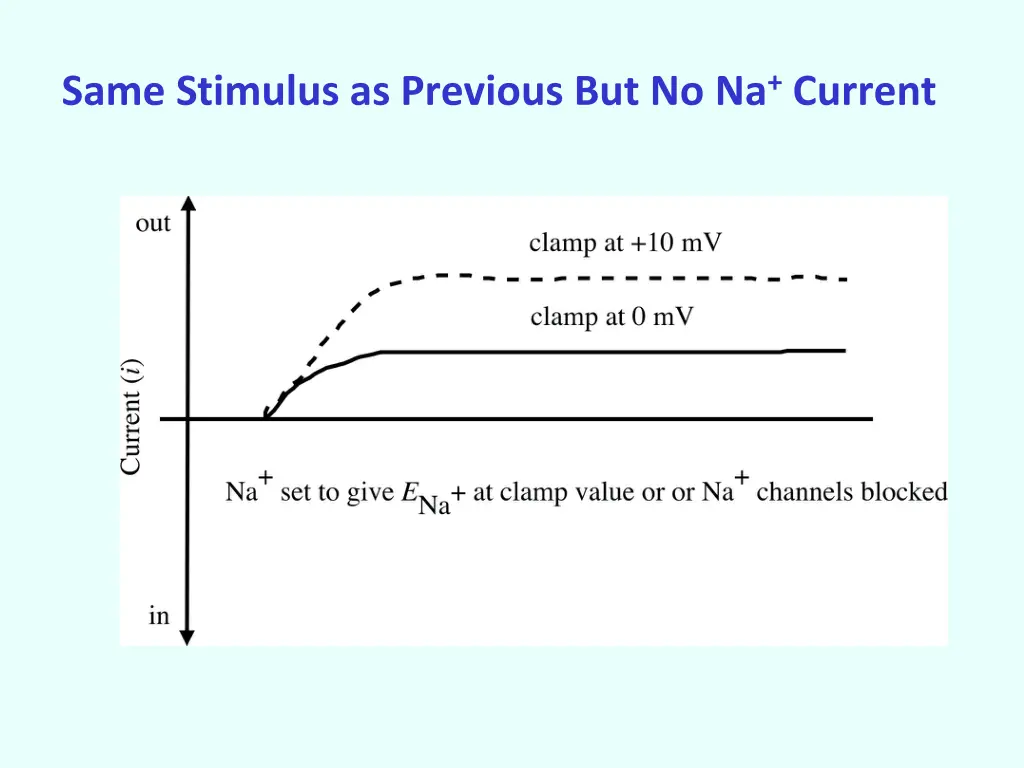 same stimulus as previous but no na current