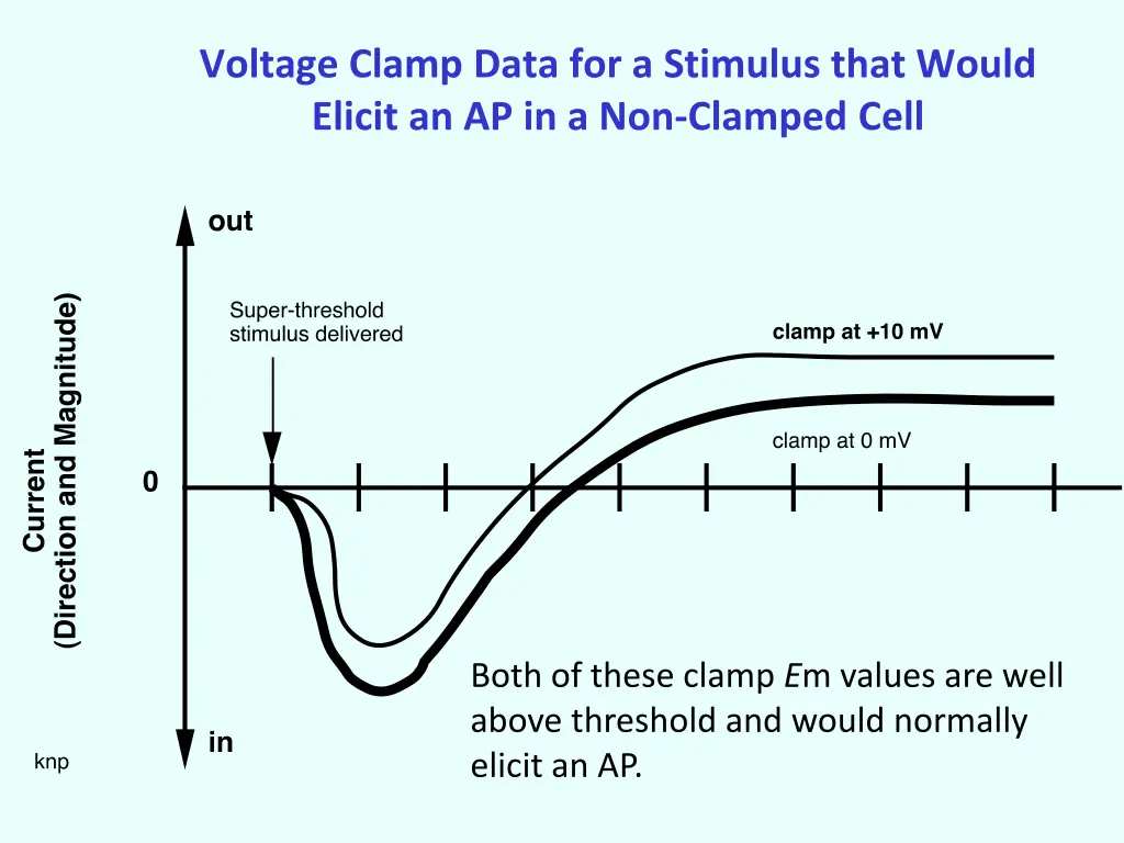 voltage clamp data for a stimulus that would