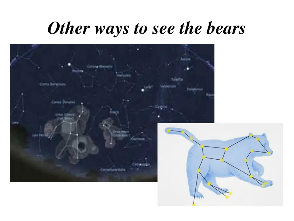 other ways to see the bears