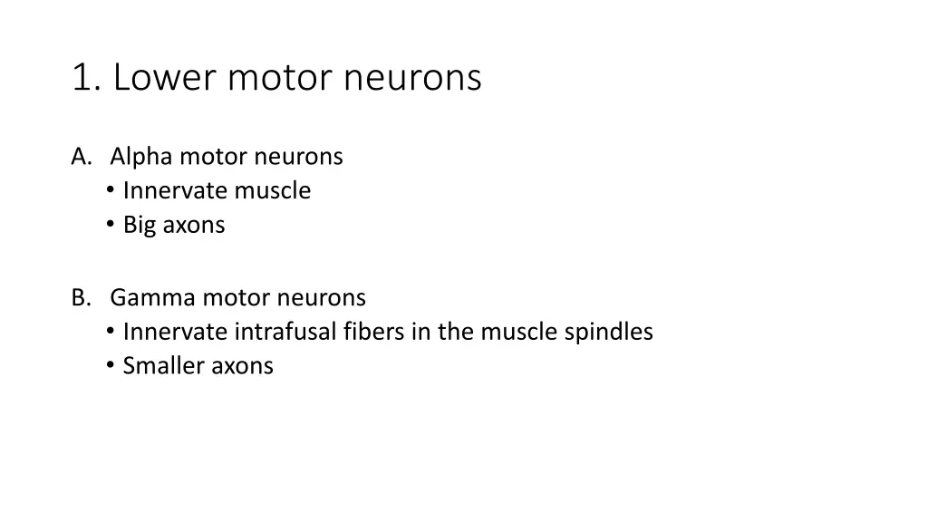 1 lower motor neurons