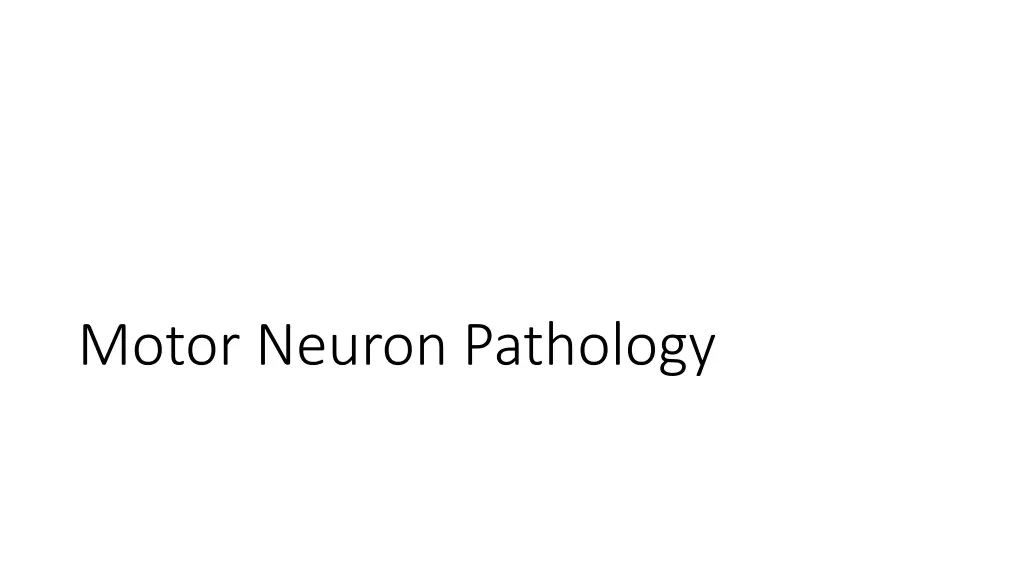 motor neuron pathology