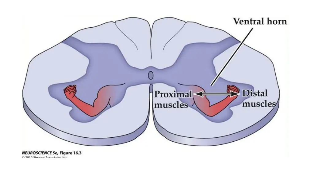 slide7