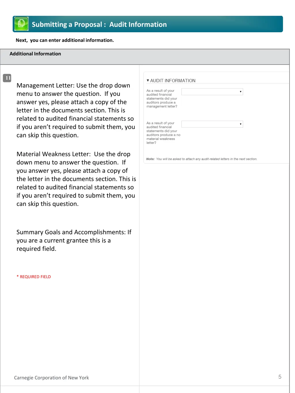 submitting a proposal audit information