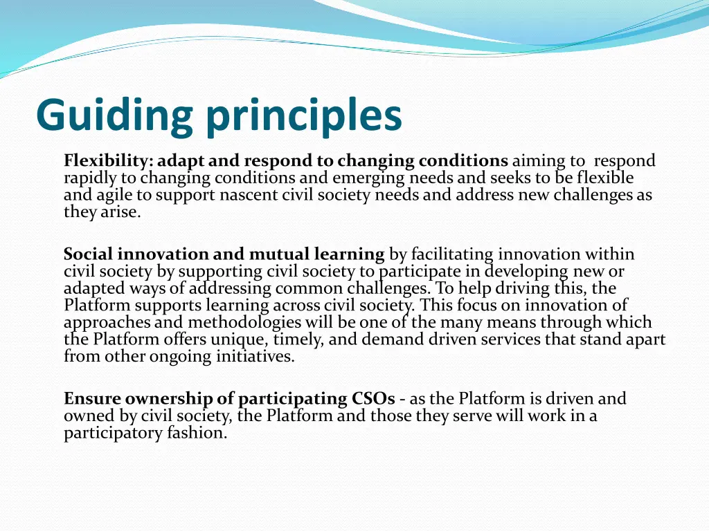 guiding principles