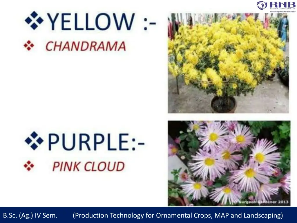b sc ag iv sem production technology 14