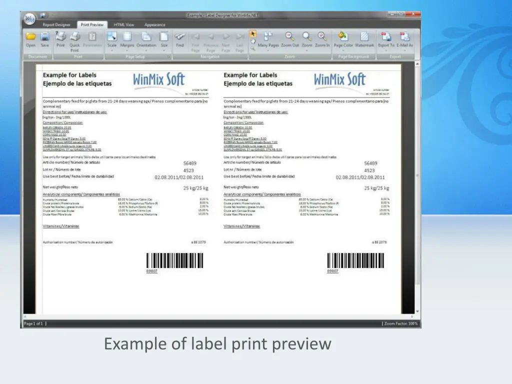 example of label print preview