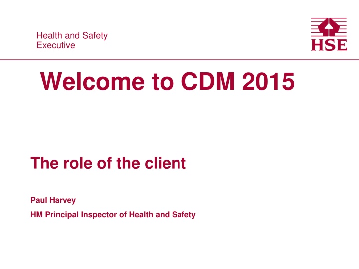 health and safety executive executive