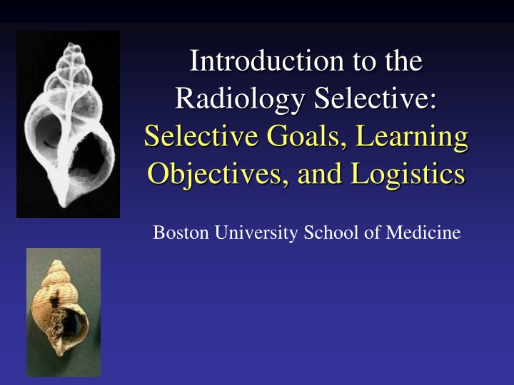 introduction to the radiology selective selective