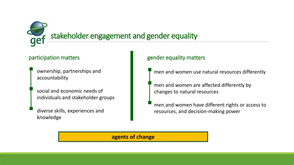 stakeholder engagement and gender equality