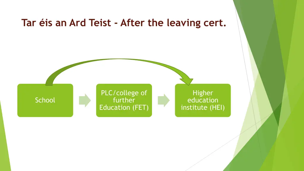 tar is an ard teist after the leaving cert