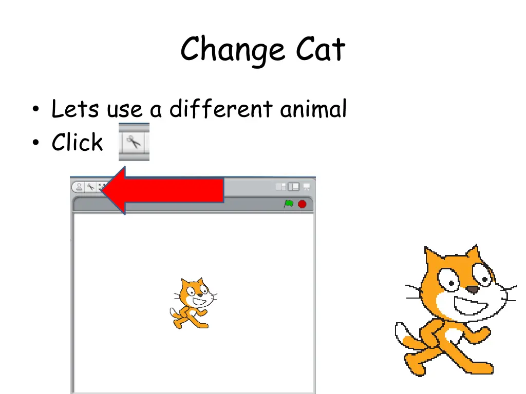 change cat