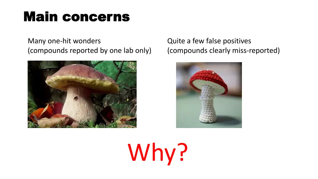 main concerns main concerns 1