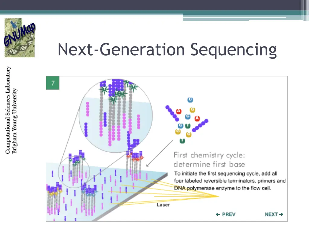 next generation sequencing