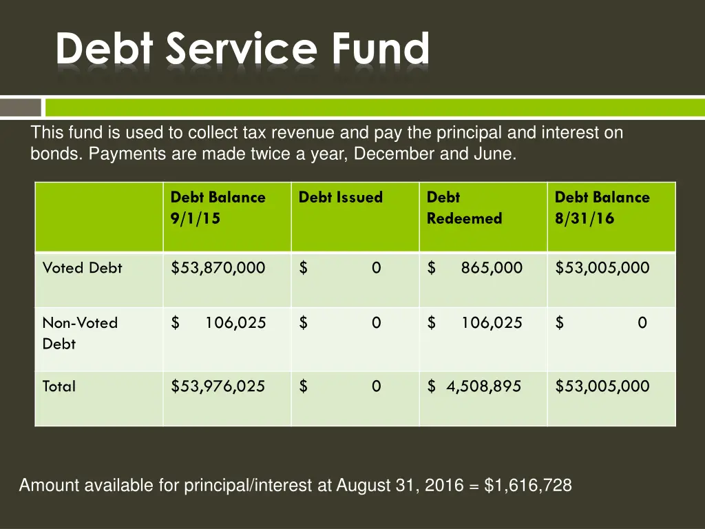 debt service fund