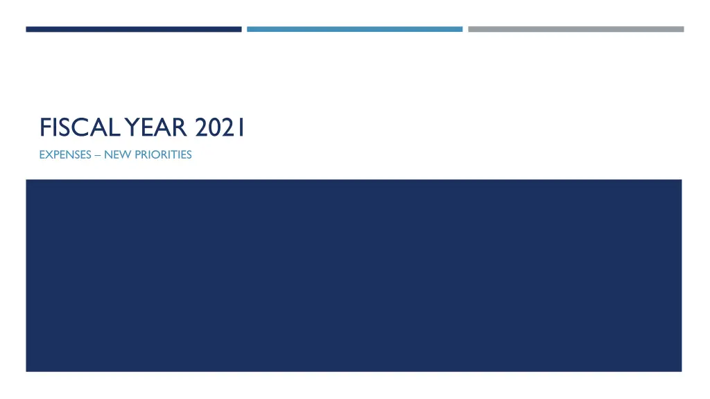 fiscal year 2021 expenses new priorities