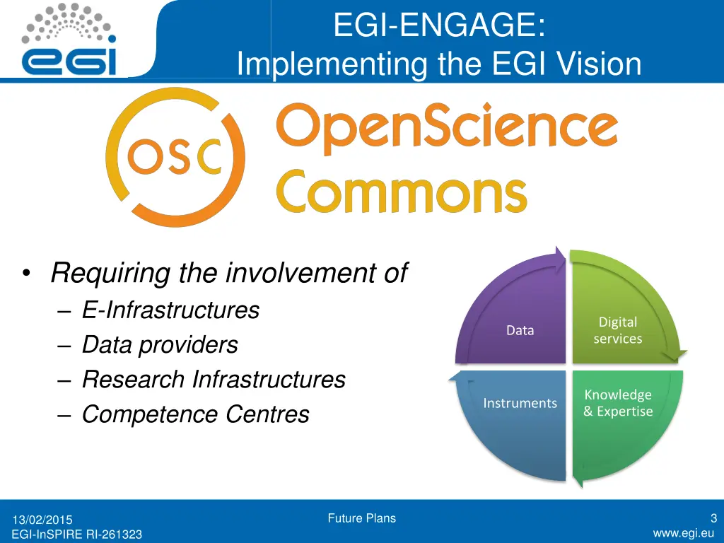egi engage implementing the egi vision 1