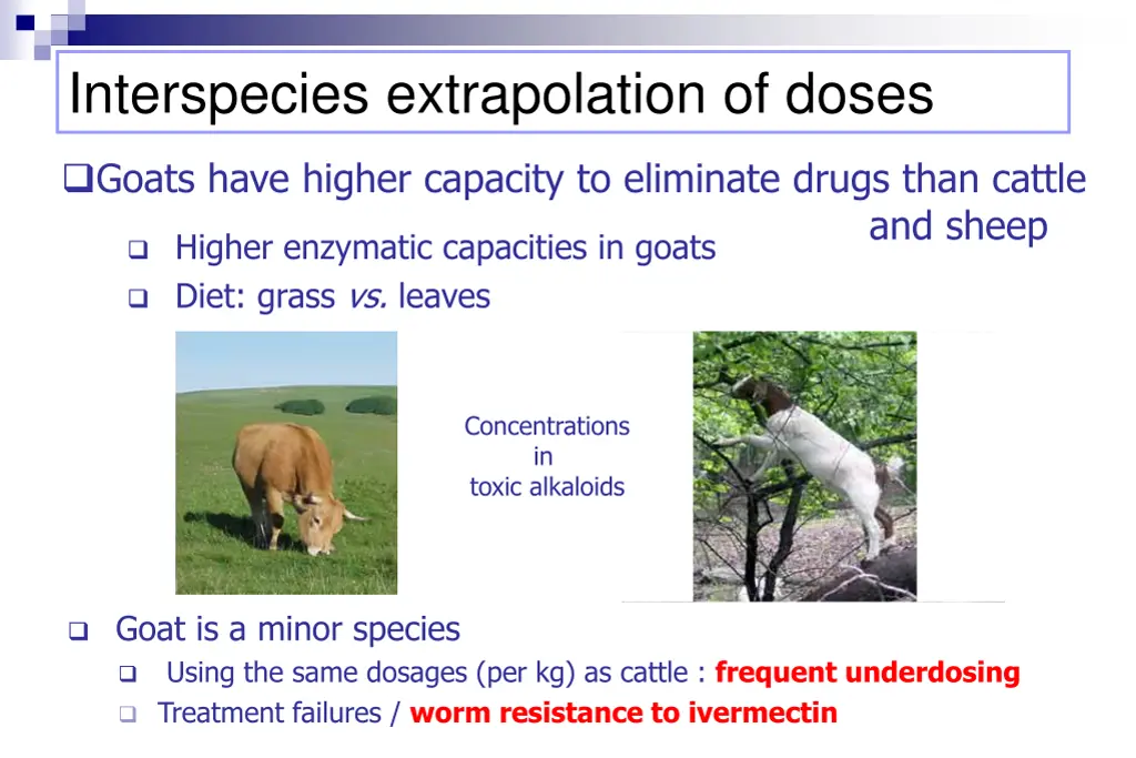 interspecies extrapolation of doses 2