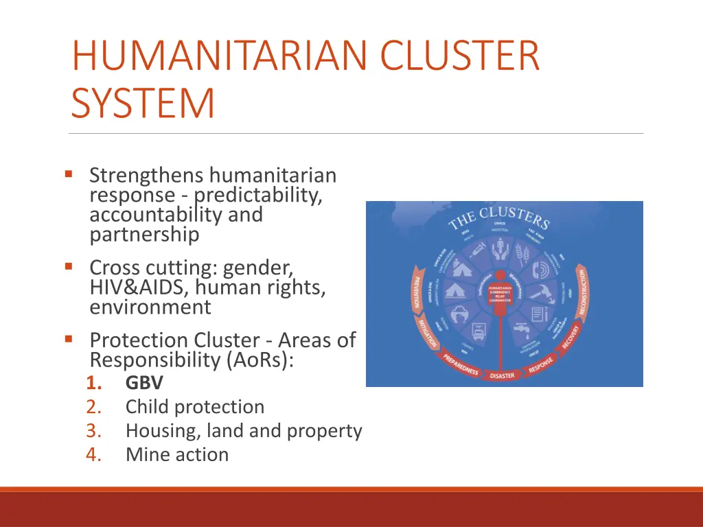 humanitarian cluster system
