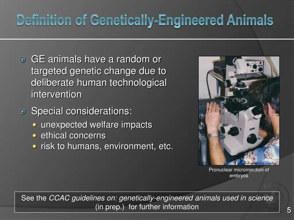 definition of genetically engineered animals