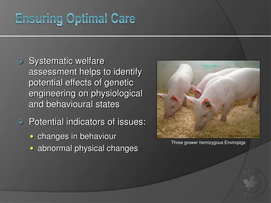 ensuring optimal care