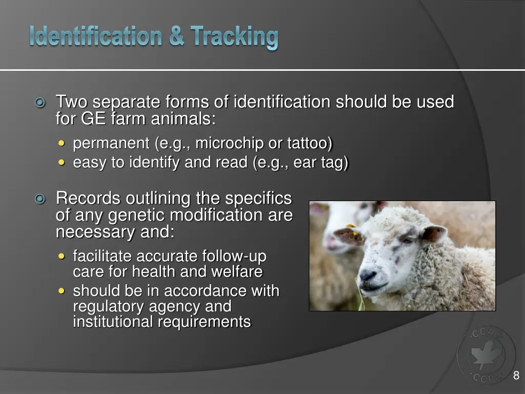 identification tracking