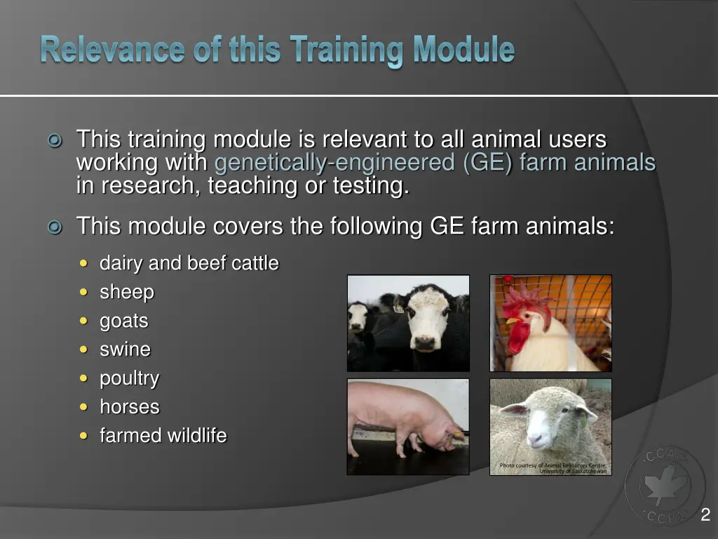 relevance of this training module
