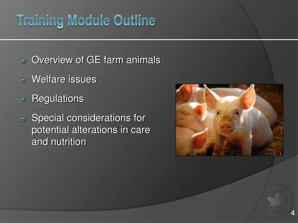 training module outline