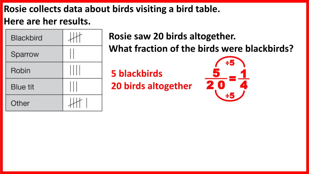 rosie collects data about birds visiting a bird