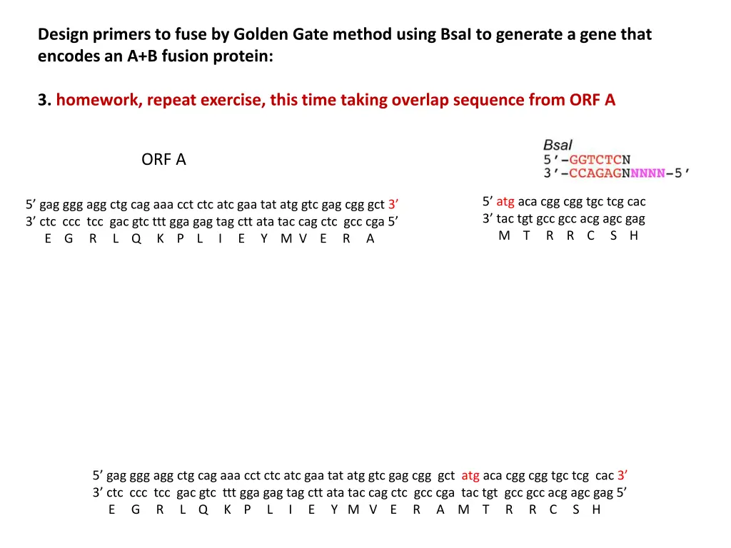 design primers to fuse by golden gate method 2