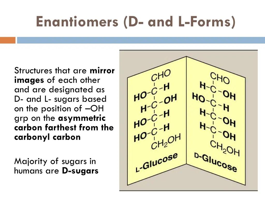 enantiomers d and l forms