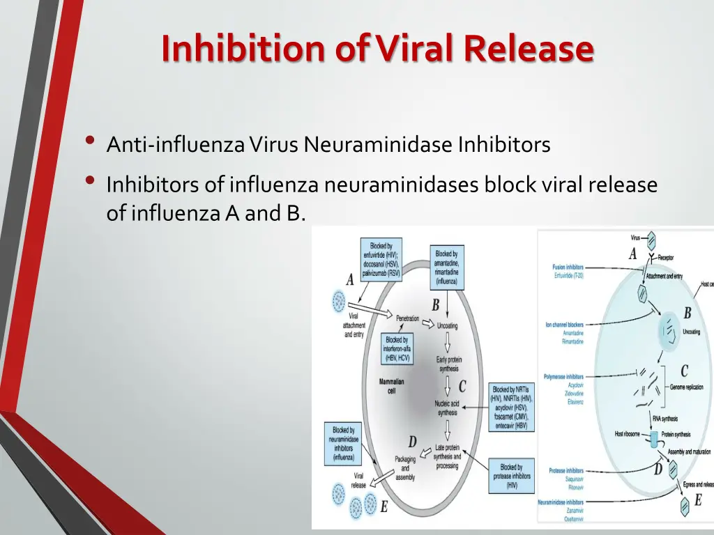 inhibition of viral release