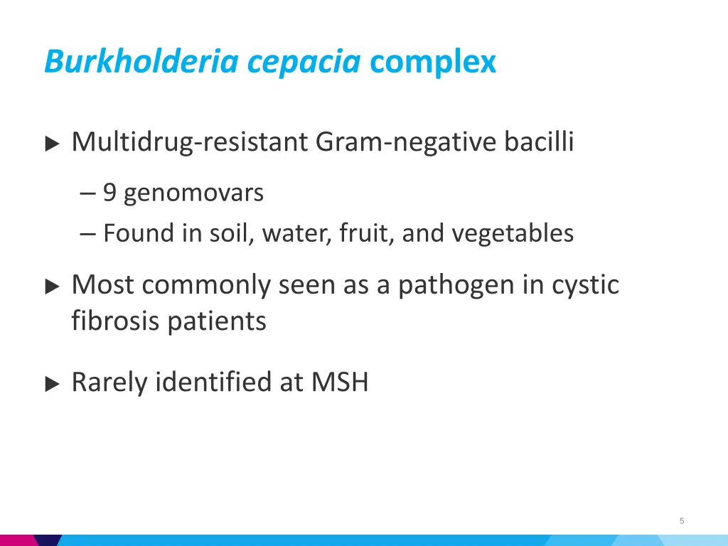 burkholderia cepacia complex