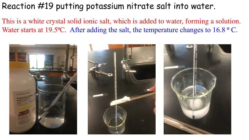 reaction 19 putting potassium nitrate salt into