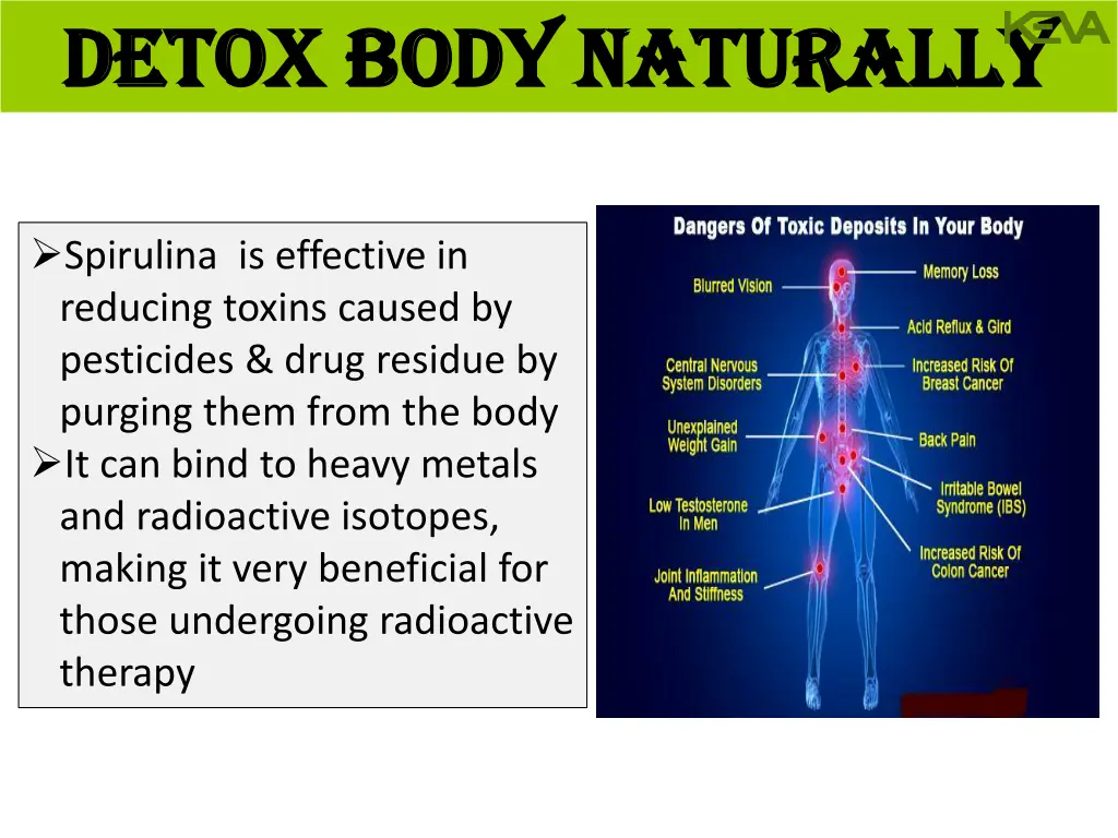 detox body naturally detox body naturally