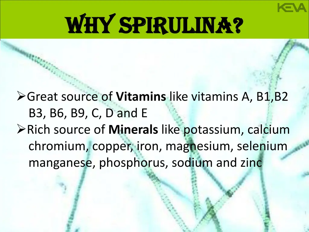 why spirulina why spirulina 1