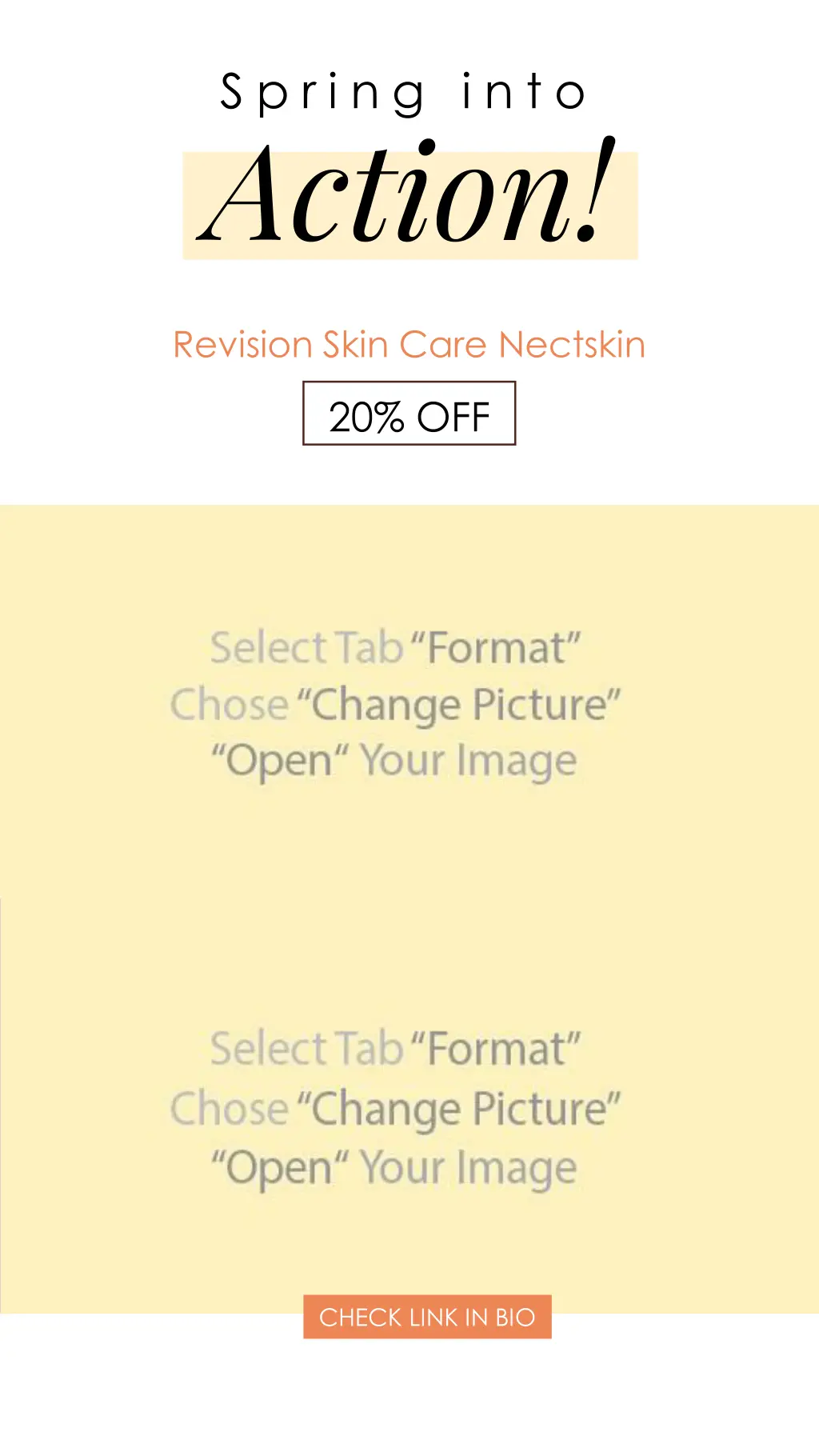 s p r i n g i n t o action