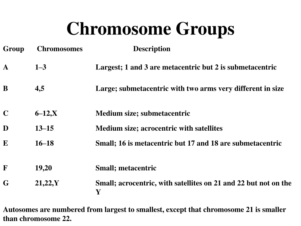 chromosome groups